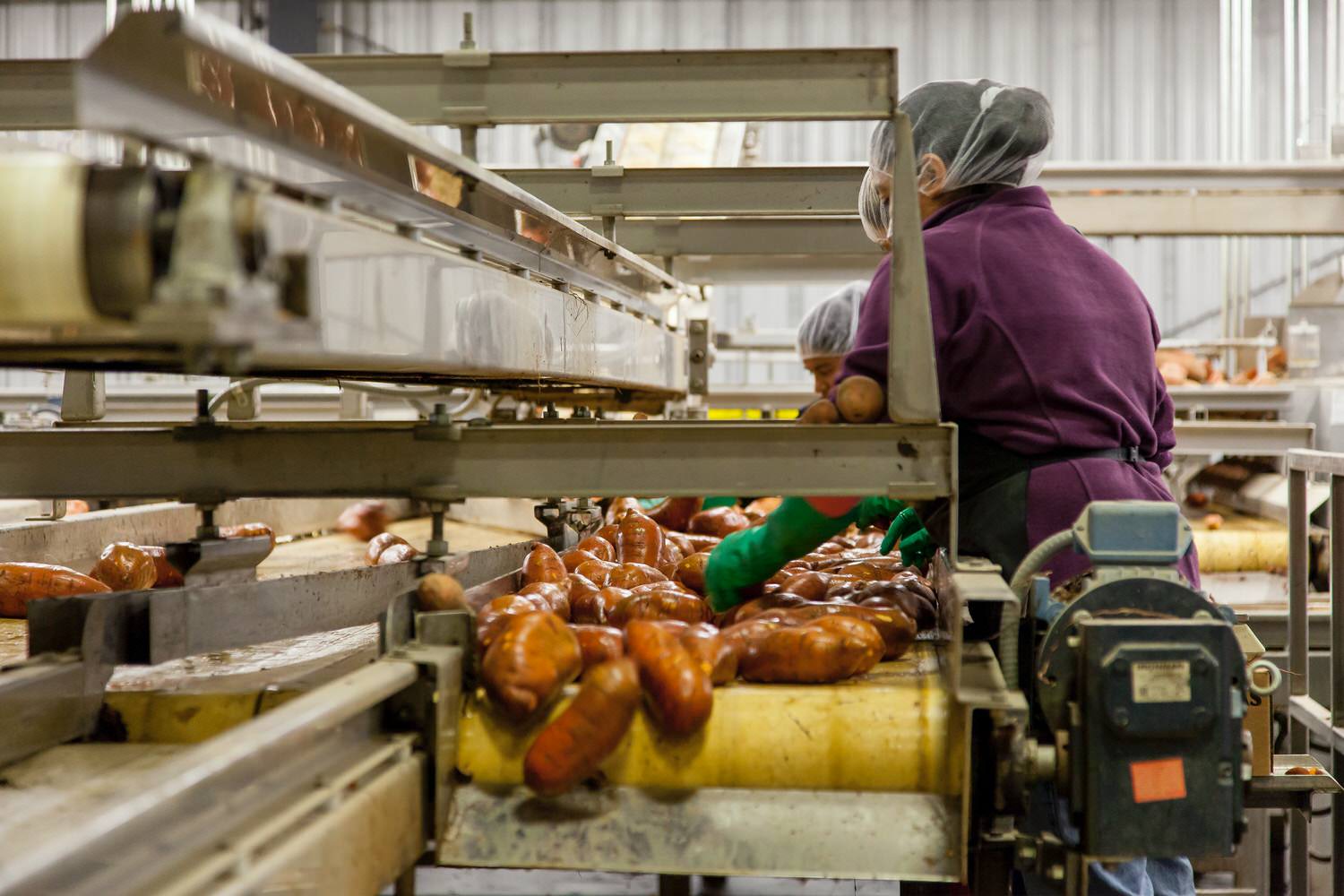【健管師專欄】你吃的是加工食品還是「超加工食品」？什麼是超加工食品？就算研究證實危害健康也愛吃的酷東西