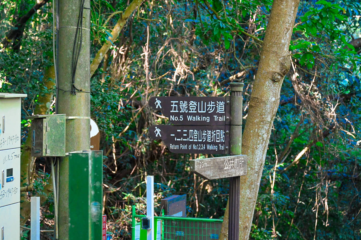 【大坑風景區】大坑登山步道:大坑5號健行筆記|頭嵙山三角點 - 第2張圖 【大坑風景區】大坑登山步道:大坑5號健行筆記|頭嵙山三角點