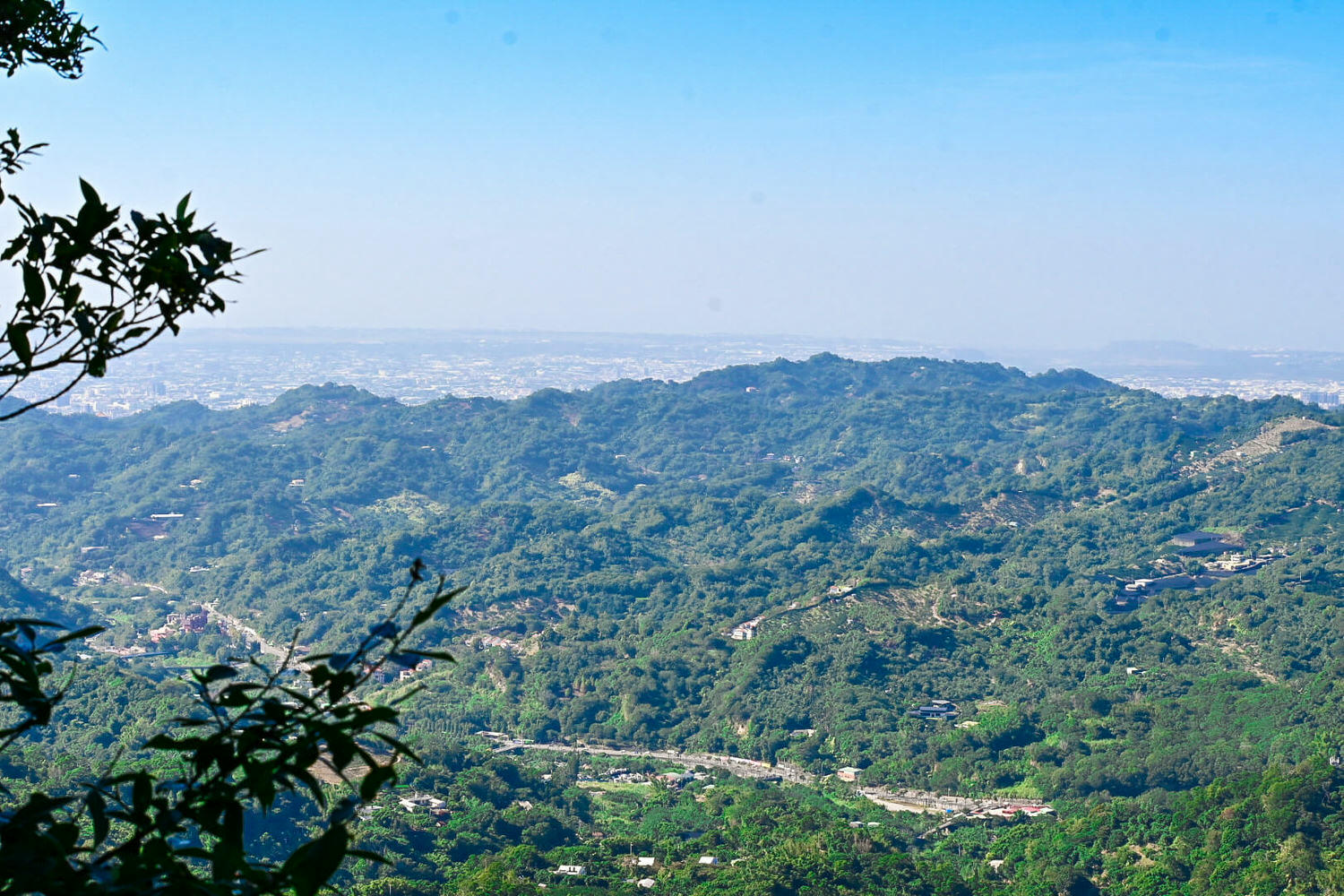 【大坑風景區】大坑登山步道:大坑5號健行筆記|頭嵙山三角點 - 第5張圖 【大坑風景區】大坑登山步道:大坑5號健行筆記|頭嵙山三角點