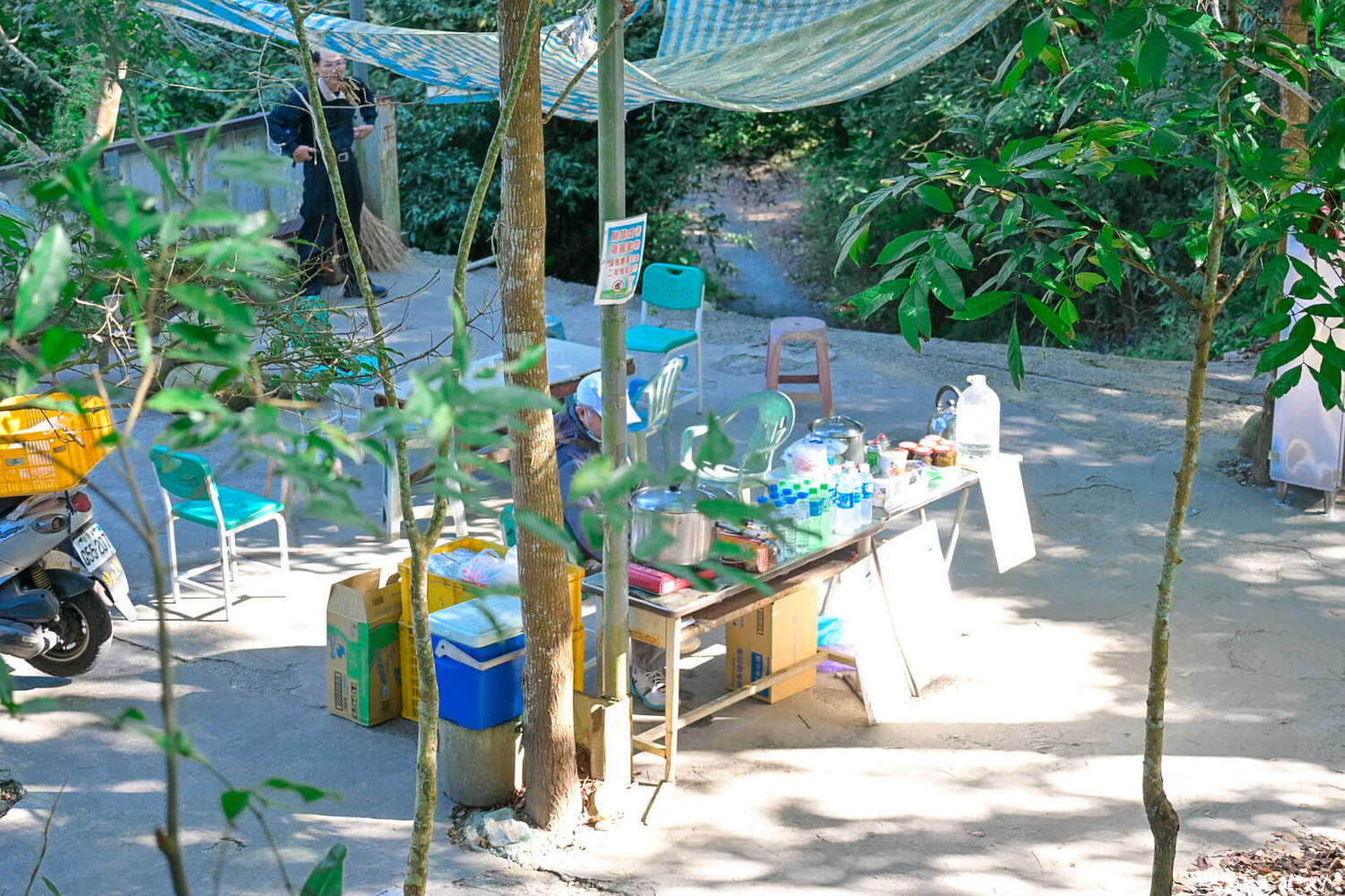 【大坑風景區】大坑登山步道:大坑5號健行筆記|頭嵙山三角點 - 第9張圖 【大坑風景區】大坑登山步道:大坑5號健行筆記|頭嵙山三角點