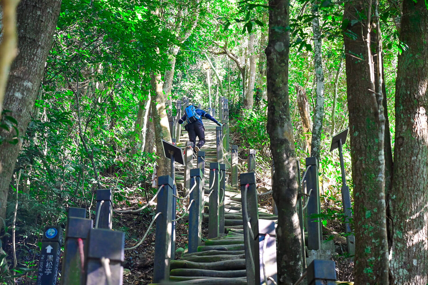 【大坑風景區】大坑登山步道:大坑5號健行筆記|頭嵙山三角點 - 第10張圖 【大坑風景區】大坑登山步道:大坑5號健行筆記|頭嵙山三角點