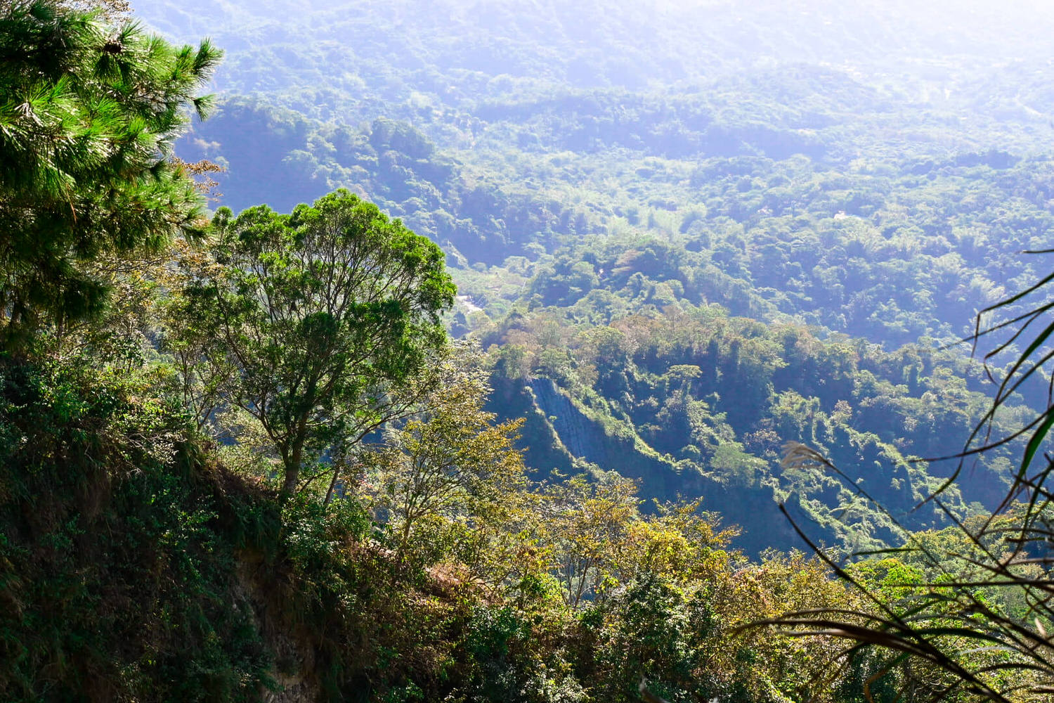 【大坑風景區】大坑登山步道:大坑5號健行筆記|頭嵙山三角點 - 第17張圖 【大坑風景區】大坑登山步道:大坑5號健行筆記|頭嵙山三角點