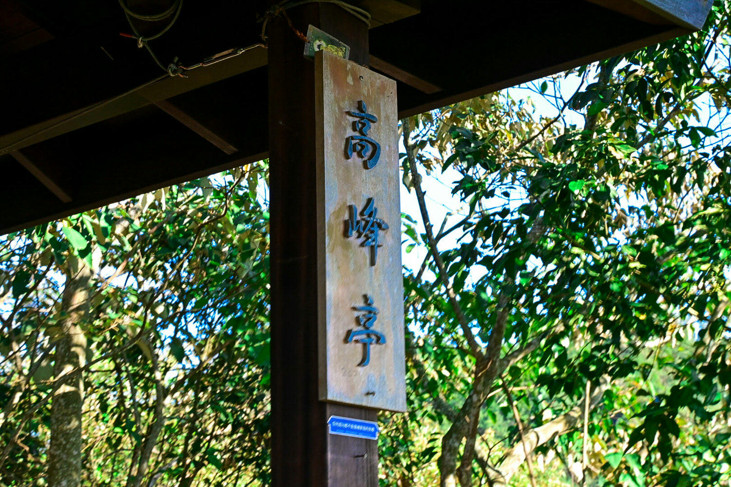 【大坑風景區】大坑登山步道:大坑5號健行筆記|頭嵙山三角點 - 第23張圖 【大坑風景區】大坑登山步道:大坑5號健行筆記|頭嵙山三角點
