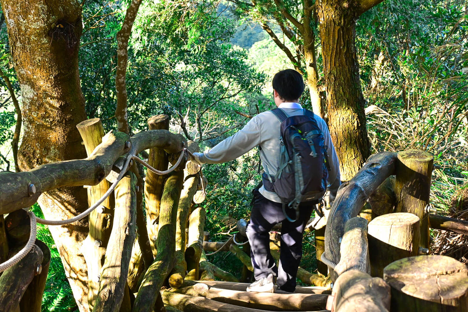 【大坑風景區】大坑登山步道:大坑5號健行筆記|頭嵙山三角點 - 第29張圖 【大坑風景區】大坑登山步道:大坑5號健行筆記|頭嵙山三角點
