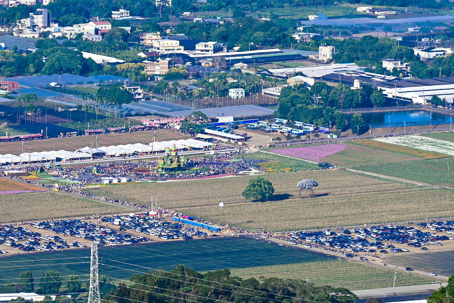 【大坑風景區】大坑登山步道:大坑5號健行筆記|頭嵙山三角點 - 第36張圖 【大坑風景區】大坑登山步道:大坑5號健行筆記|頭嵙山三角點