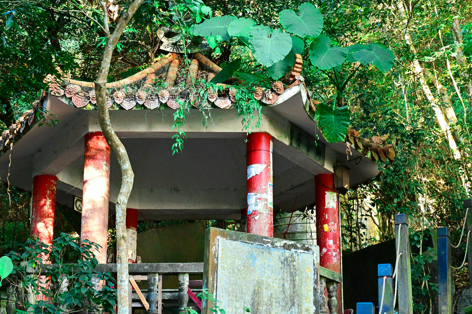【大坑風景區】大坑登山步道:大坑5號健行筆記|頭嵙山三角點 - 第11張圖 【大坑風景區】大坑登山步道:大坑5號健行筆記|頭嵙山三角點