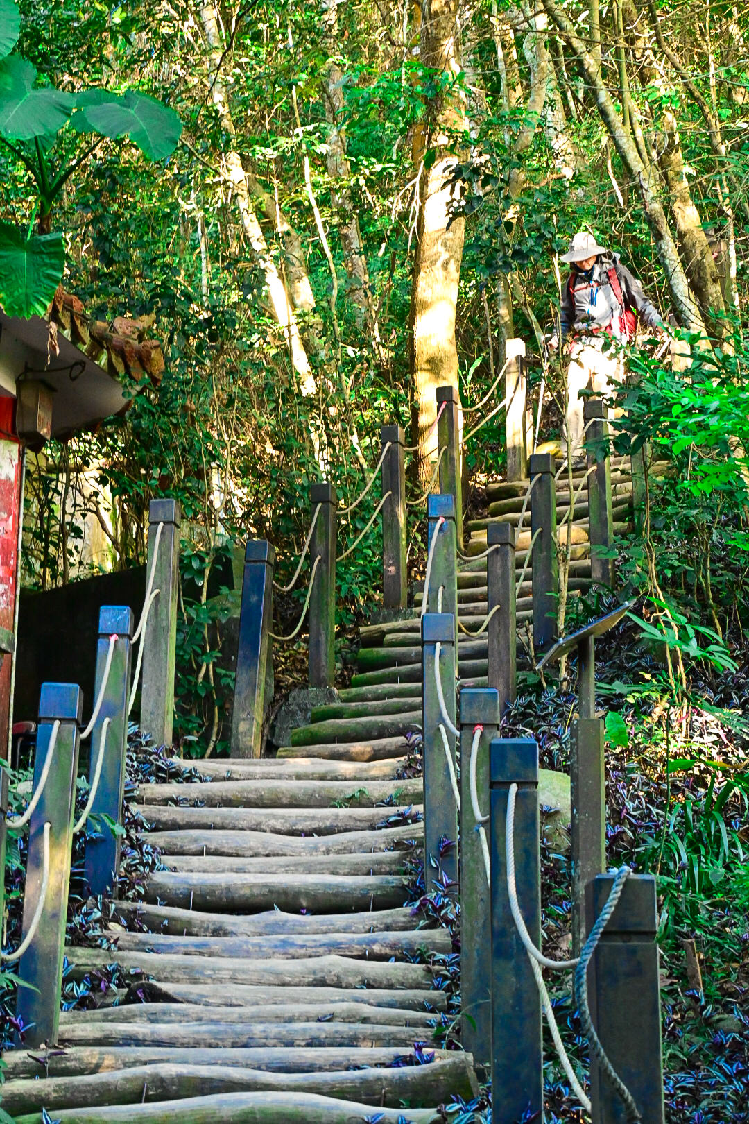 【大坑風景區】大坑登山步道:大坑5號健行筆記|頭嵙山三角點 - 第13張圖 【大坑風景區】大坑登山步道:大坑5號健行筆記|頭嵙山三角點
