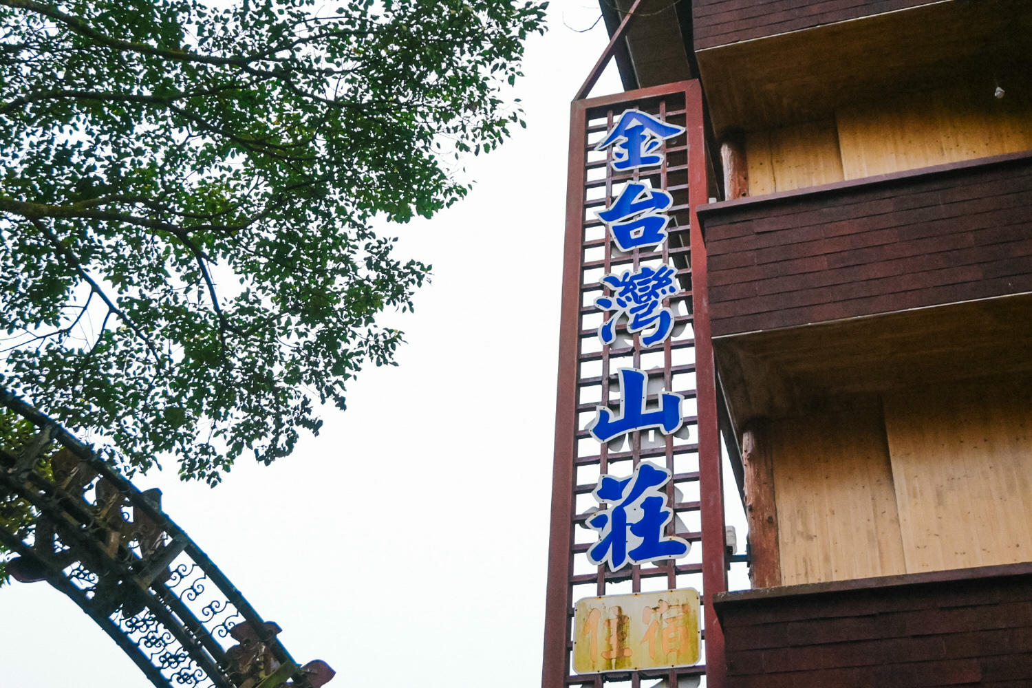 南投鹿谷住宿｜金台灣山莊民宿溪頭竹林小屋4.4星！溪頭餐廳山菜、杉林溪茶