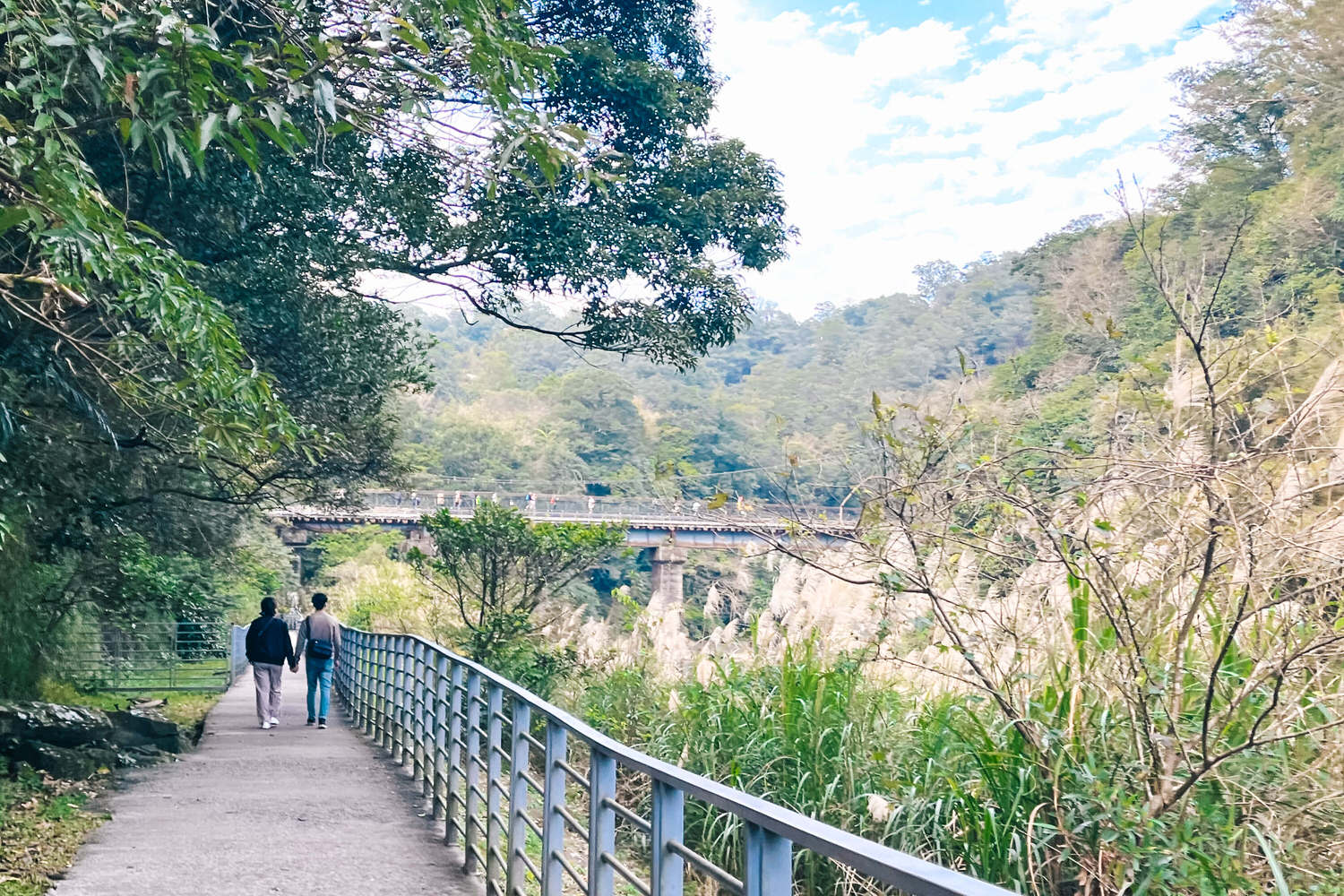 十分瀑布公園免費景點!十分瀑布交通開放時間|平溪1日遊攻略 - 第19張圖 十分瀑布公園免費景點!十分瀑布交通開放時間|平溪1日遊攻略