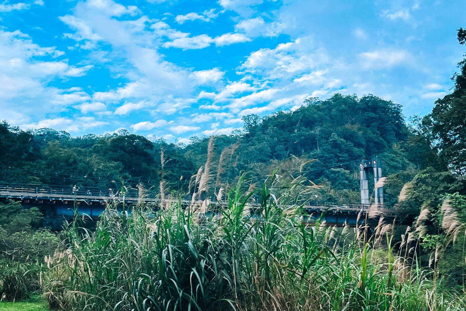 十分瀑布公園免費景點!十分瀑布交通開放時間|平溪1日遊攻略 - 第20張圖 十分瀑布公園免費景點!十分瀑布交通開放時間|平溪1日遊攻略