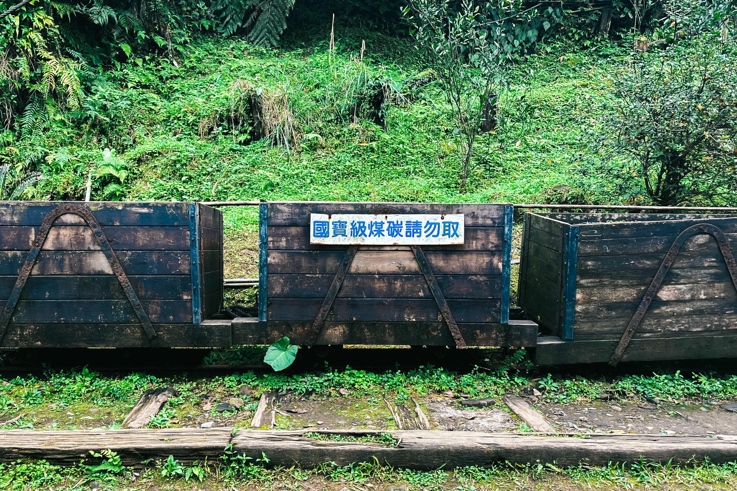 十分瀑布公園免費景點!十分瀑布交通開放時間|平溪1日遊攻略 - 第23張圖 十分瀑布公園免費景點!十分瀑布交通開放時間|平溪1日遊攻略