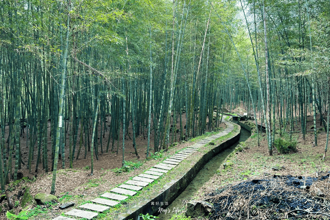 鹿谷小半天|孟宗竹林古戰場、長源圳生態步道清幽行 - 第14張圖 鹿谷小半天|孟宗竹林古戰場、長源圳生態步道清幽行