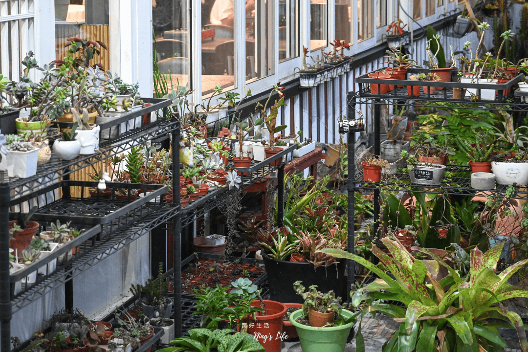 131多肉花園餐廳|甕仔雞套餐免千元、限量生吐司!日月潭餐廳好停車 - 第3張圖 131多肉花園餐廳|甕仔雞套餐免千元、限量生吐司!日月潭餐廳好停車