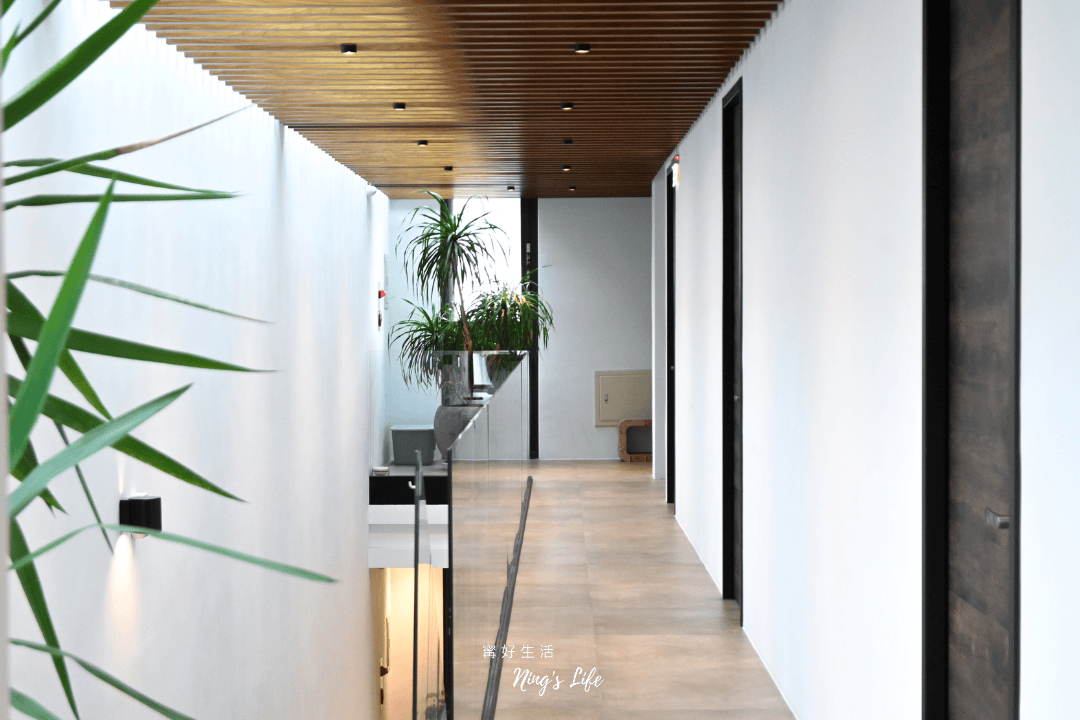 朵麗絲的家｜住進7隻貓的慵懶愜意 日月潭寵物友善住宿