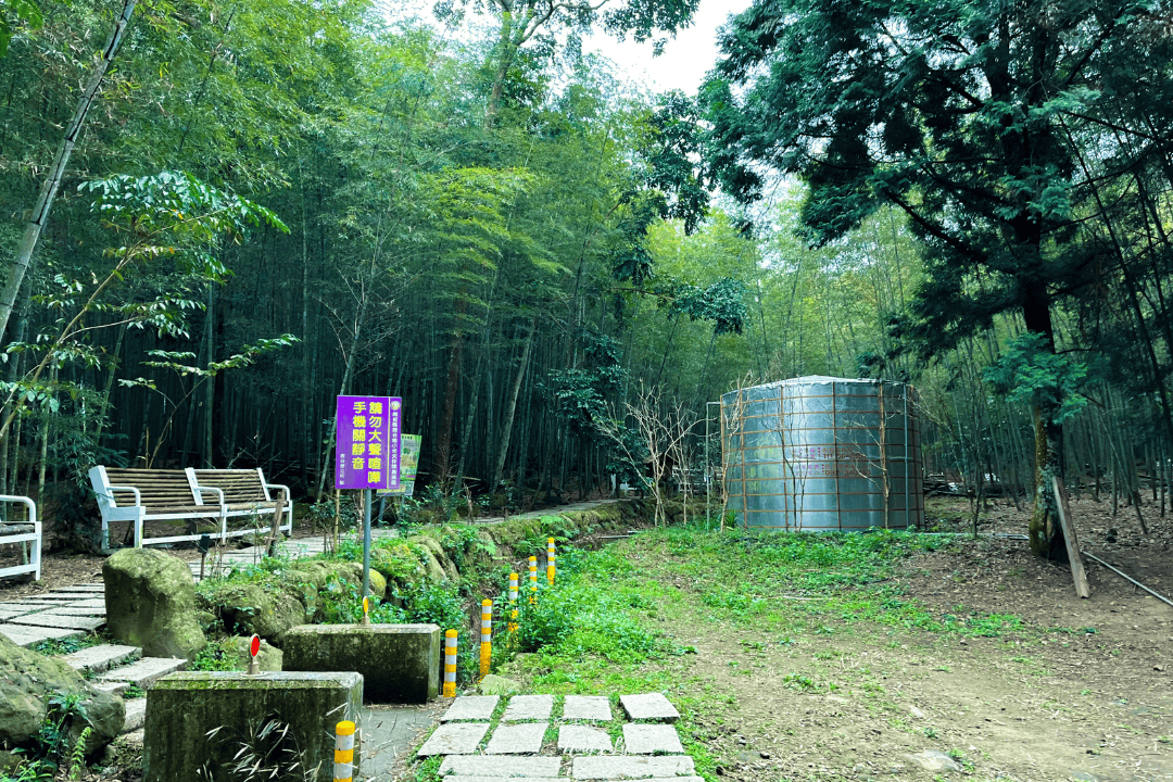 鹿谷小半天|孟宗竹林古戰場、長源圳生態步道清幽行 - 第6張圖 鹿谷小半天|孟宗竹林古戰場、長源圳生態步道清幽行