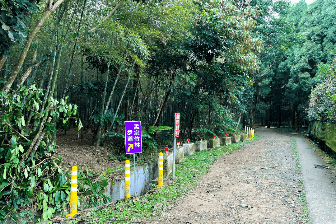 鹿谷小半天|孟宗竹林古戰場、長源圳生態步道清幽行 - 第4張圖 鹿谷小半天|孟宗竹林古戰場、長源圳生態步道清幽行
