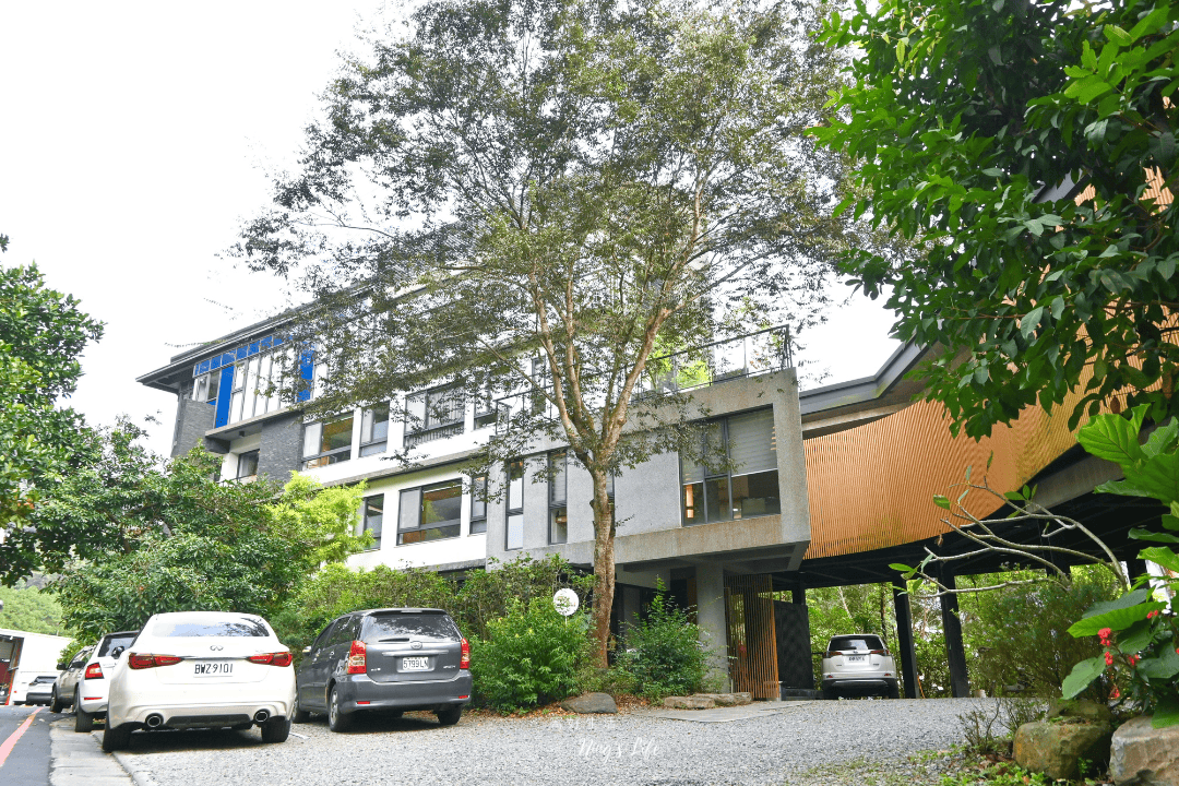 朵麗絲的家｜住進7隻貓的慵懶愜意 日月潭寵物友善住宿