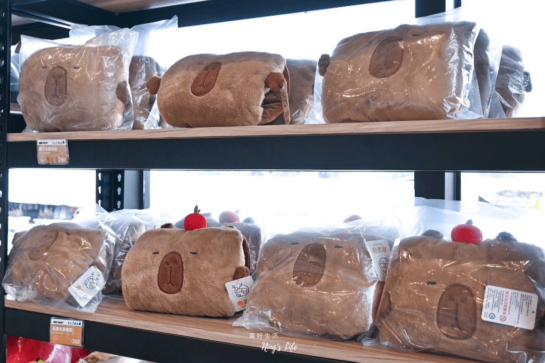 鹿芝谷｜全新水豚黑面羊/多肉DIY園區！南投鹿谷景點推薦