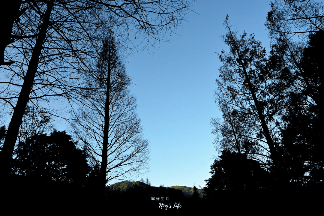 蟬說溪頭生態露營區|第1次露營就上手!森林小屋租借開箱 - 第43張圖 蟬說溪頭生態露營區|第1次露營就上手!森林小屋租借開箱