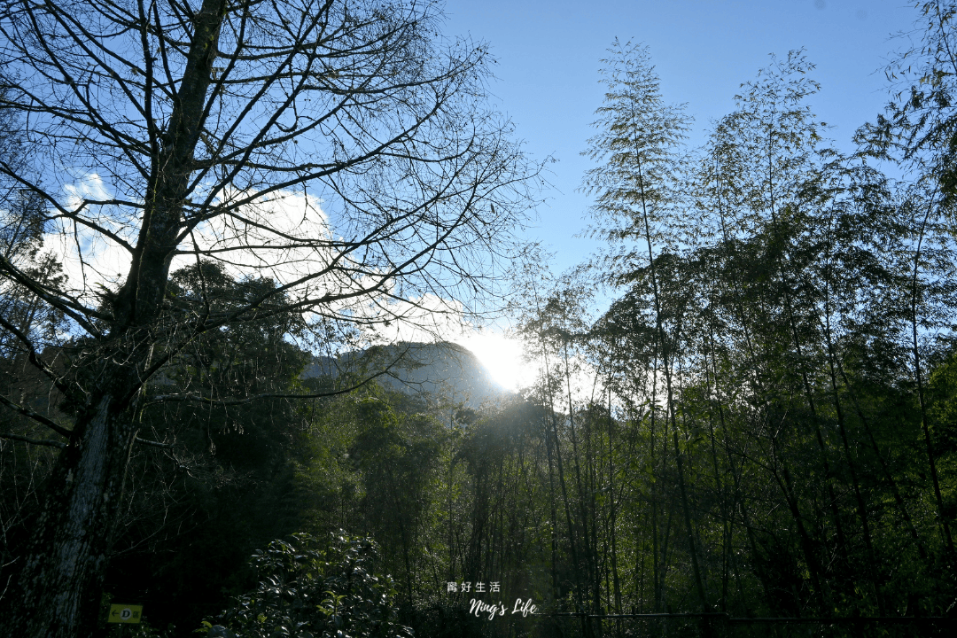 蟬說溪頭生態露營區|第1次露營就上手!森林小屋租借開箱 - 第42張圖 蟬說溪頭生態露營區|第1次露營就上手!森林小屋租借開箱