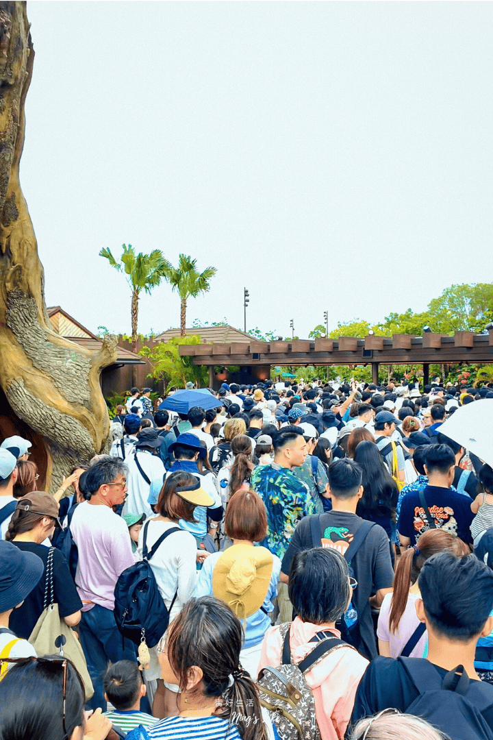 【沖繩自由行】Junglia叢林樂園|開幕第2天遇到雷雨!真實心得/10個行前Q&A攻略 - 第25張圖 【沖繩自由行】Junglia叢林樂園|開幕第2天遇到雷雨!真實心得/10個行前Q&A攻略