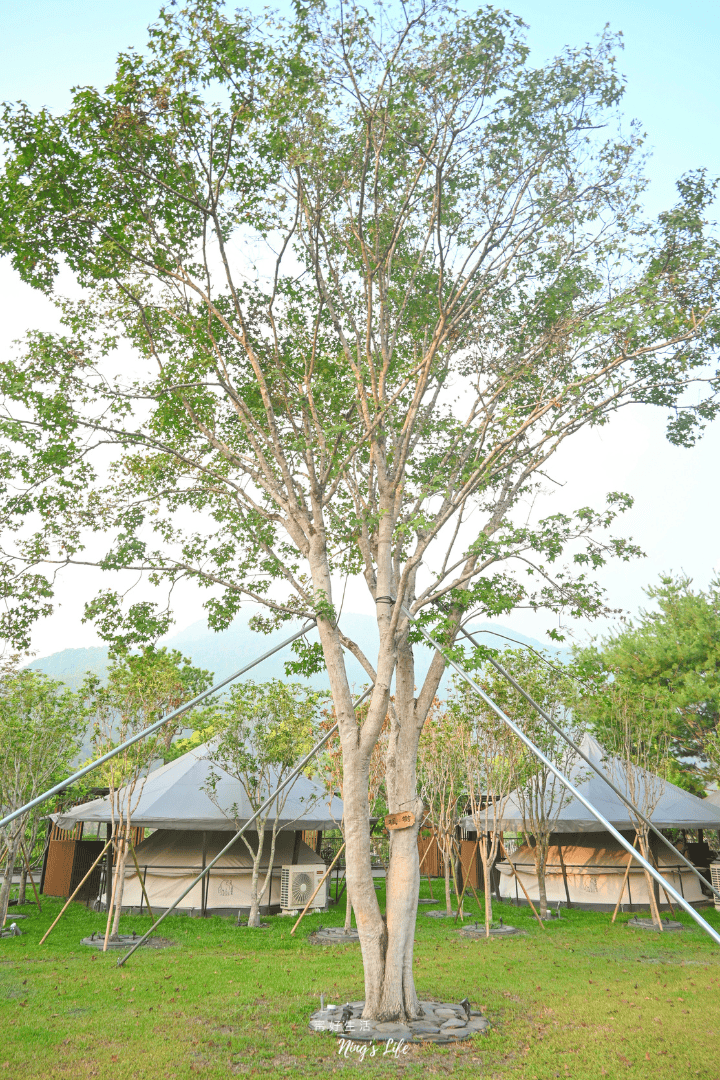 埔里春天度假村民宿|近5千坪庭園、山嵐景觀!可包棟、含早餐 - 第14張圖 埔里春天度假村民宿|近5千坪庭園、山嵐景觀!可包棟、含早餐