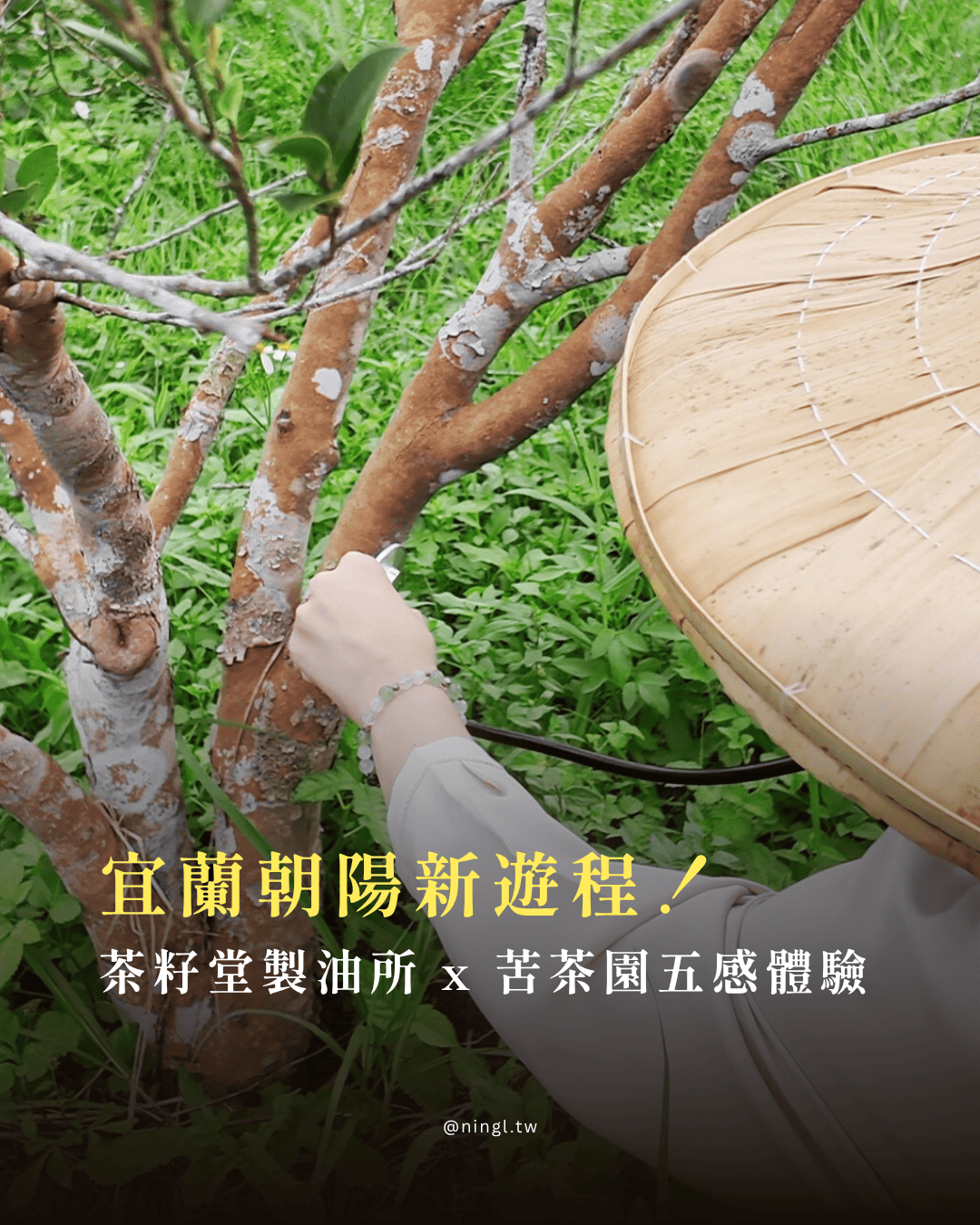 宜蘭金牌農村秘境!9個朝陽必訪景點美食、茶籽堂遊程分享 - 第1張圖 宜蘭金牌農村秘境!9個朝陽必訪景點美食、茶籽堂遊程分享