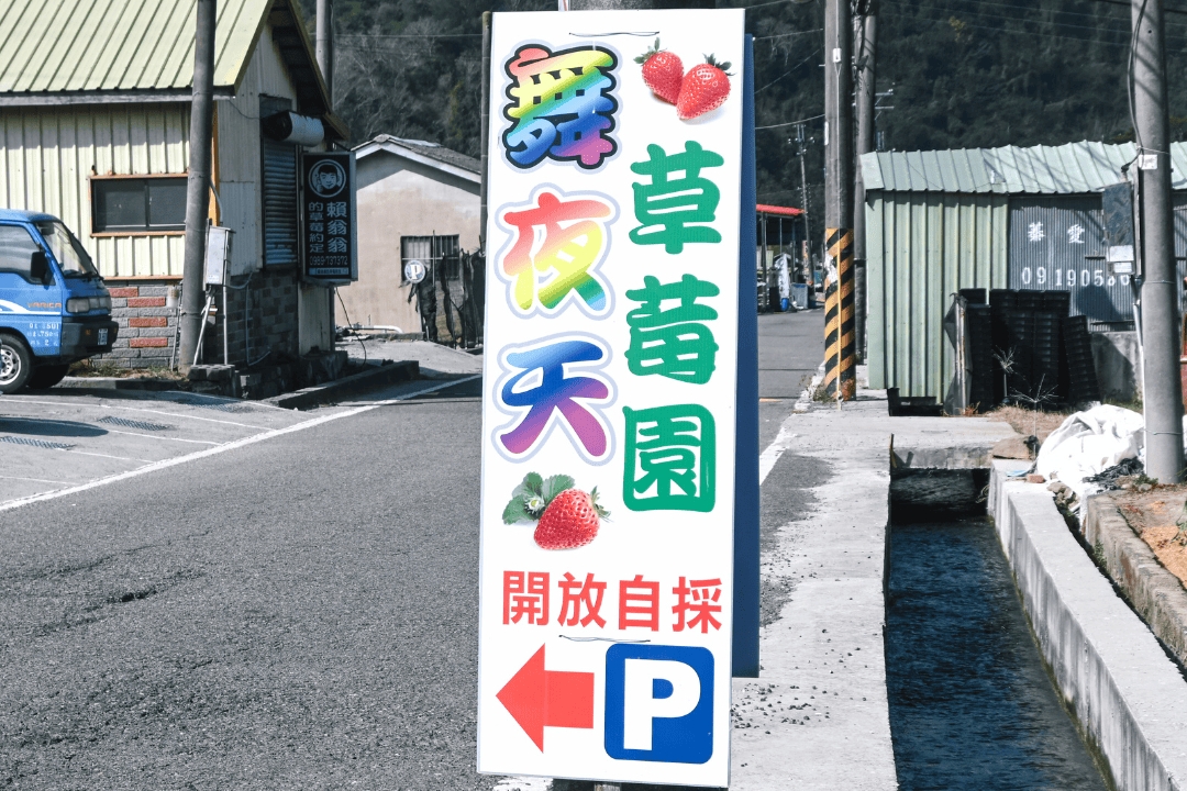 舞夜天草莓園|可愛柯爾鴨的高架草莓園!苗栗大湖採草莓推薦 - 第1張圖 苗栗大湖採草莓高架草莓園推薦舞夜天草莓園@寗好生活