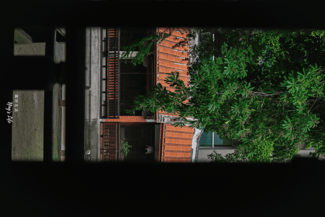 奉茶・十八卯|吳園旁百年日式老屋茶館 鬧中取靜療癒茶席 - 第8張圖 台南吳園百年日式老屋茶館推薦茶席奉茶・十八卯菜單價位@寗好生活