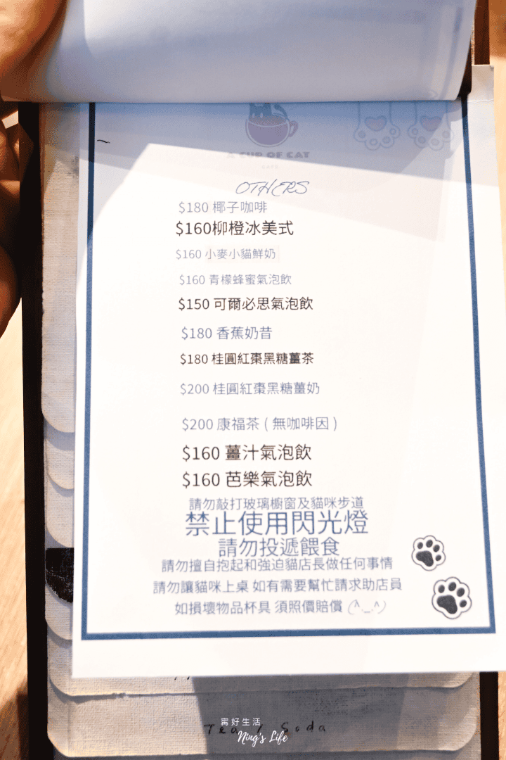 杯子裡的貓|台北東區貓咪咖啡廳!忠孝敦化巷弄療癒角落 - 第3張圖 台北東區忠孝敦化貓咪咖啡廳推薦@杯子裡的貓