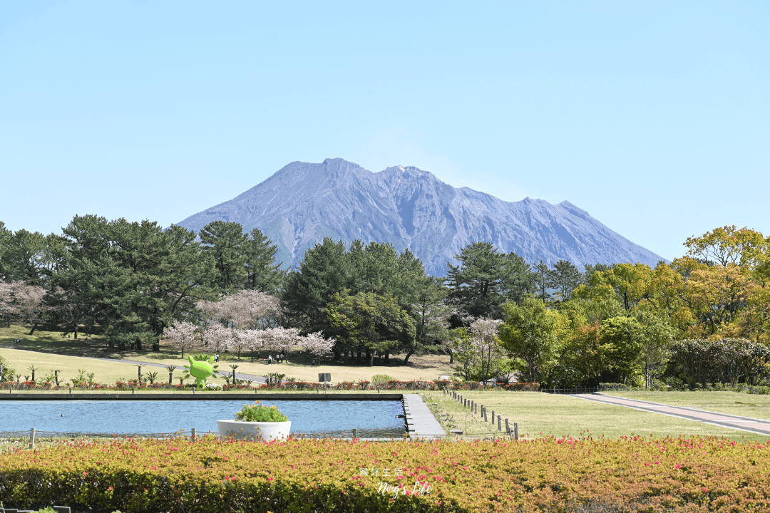 【九州自由行】吉野公園|鹿兒島賞櫻公園推薦!櫻島拍照景點 - 第3張圖 鹿兒島賞櫻公園推薦櫻島拍照景點吉野公園@寗好生活