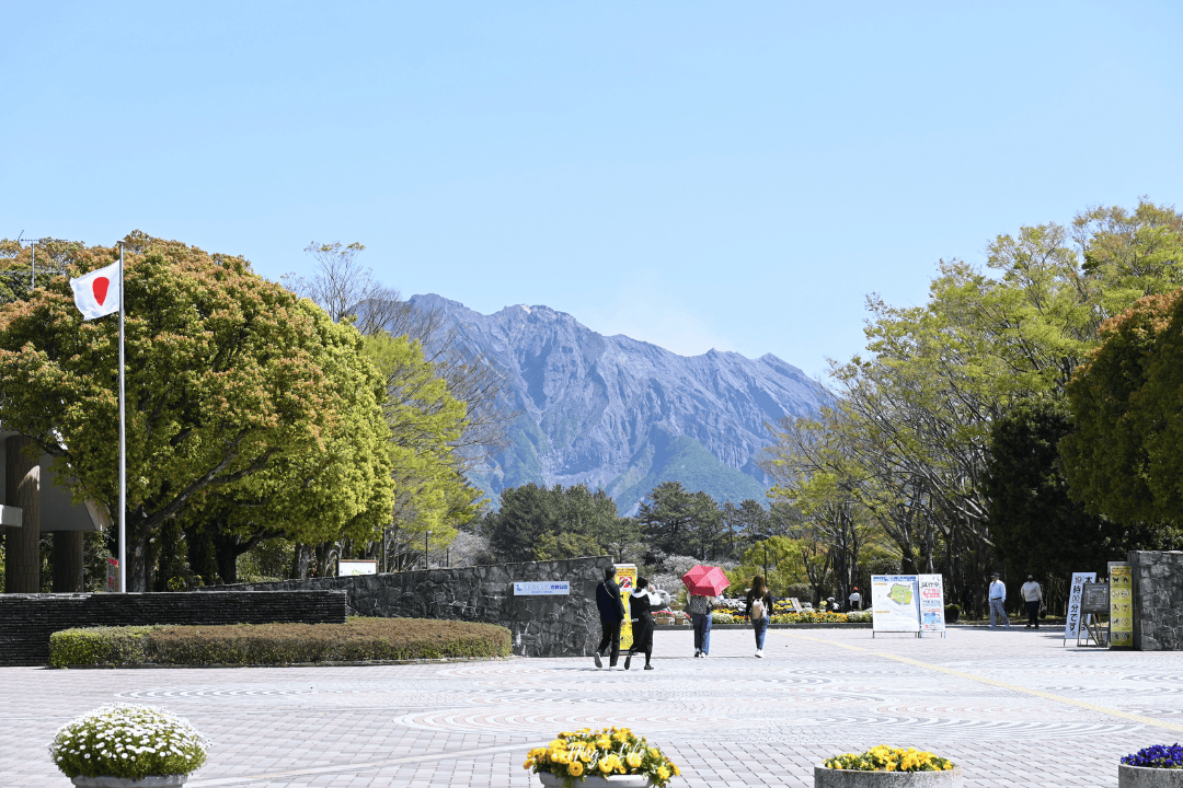 【九州自由行】吉野公園|鹿兒島賞櫻公園推薦!櫻島拍照景點 - 第2張圖 鹿兒島賞櫻公園推薦櫻島拍照景點吉野公園@寗好生活